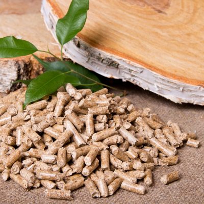 Biomass Boilers