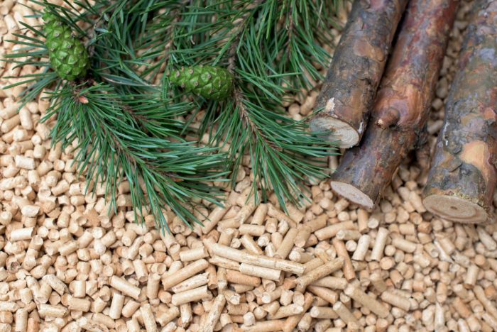 Efficient Biomass Boilers