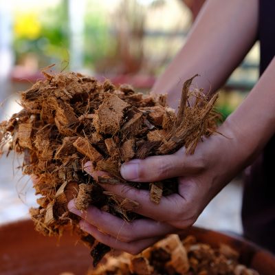 Beginner’s Guide to Biomass Boilers