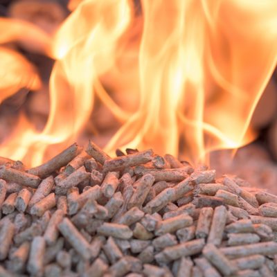 Cheapest Biomass Boilers