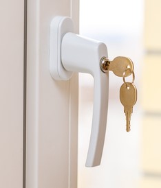 Espagnolette window handle image