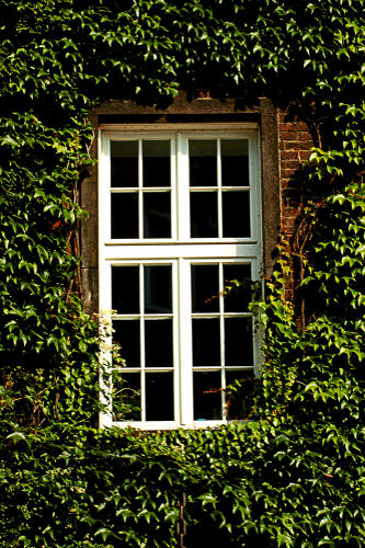 Casement Cottage Window image