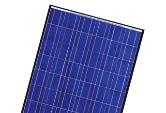 Canadian Solar CS6P-P